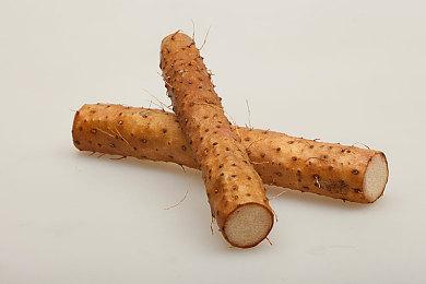 中式民俗恐怖国产独立游戏《白河村》11月22日正式发售